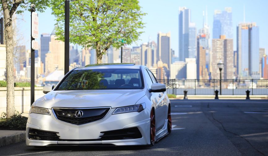 pexels-photo-88628 pexels-photo-88628