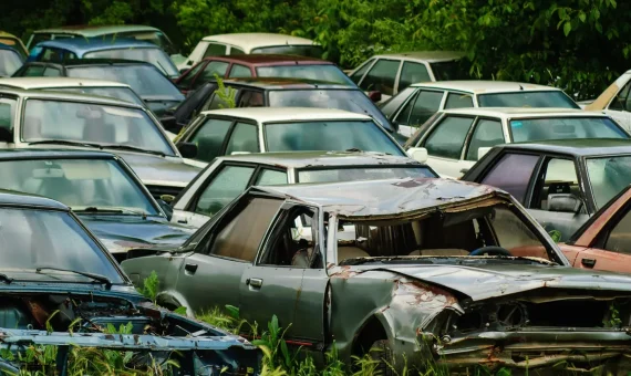 A collection of vintage cars, damaged and abandoned in a lush green junkyard